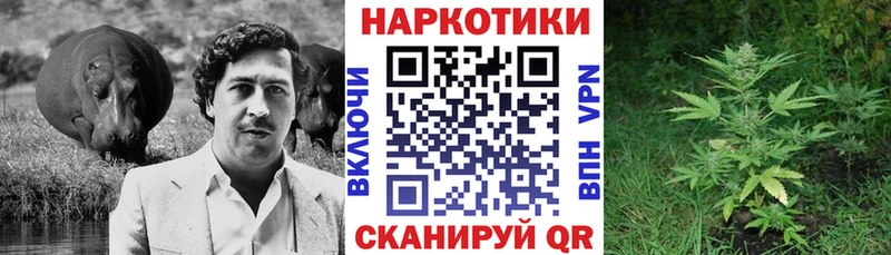 Купить закладку ГАШИШ  КОКАИН  Мефедрон  Канабис  Сегежа
