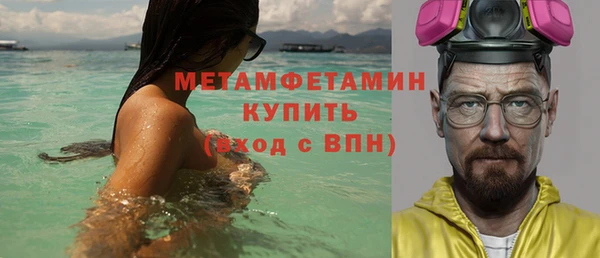 шишки Горняк