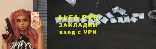 шишки Горняк