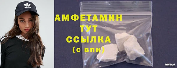 шишки Горняк