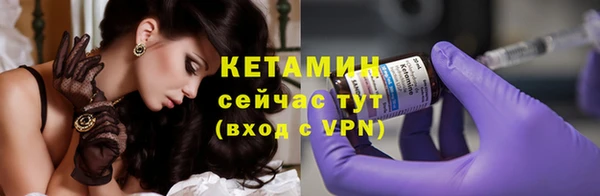 шишки Горняк