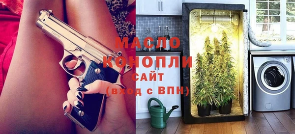 шишки Горняк