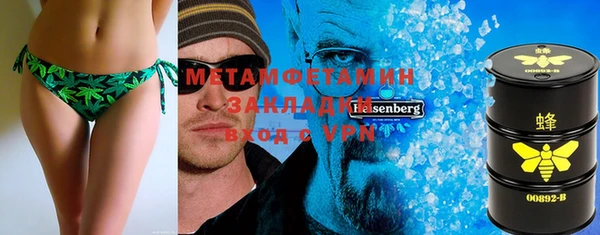 шишки Горняк