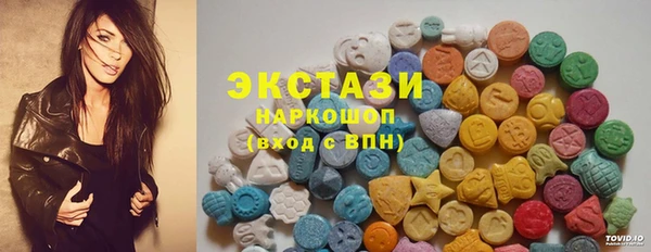 шишки Горняк
