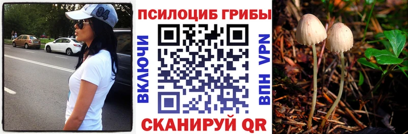 Псилоцибиновые грибы Magic Shrooms  Купить закладки  Сегежа 